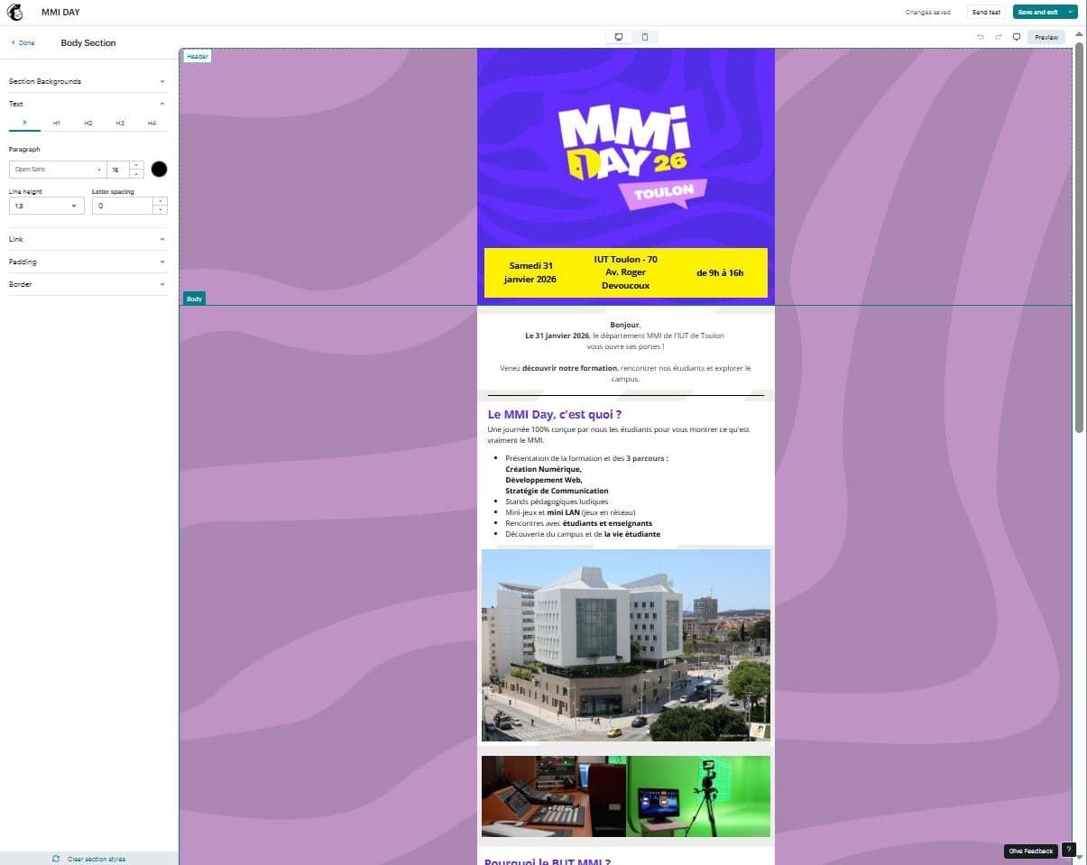 Newsletter MailChimp MMI Day